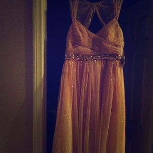 Windsor Pink Chiffon Dress